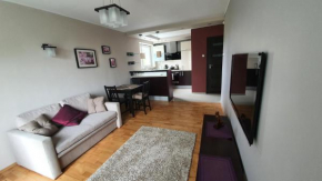 The Castle View Apartment, Kraków